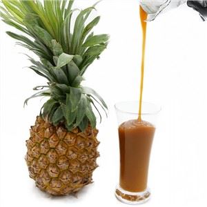 Pekat Jus Nanas Berkualiti Tinggi